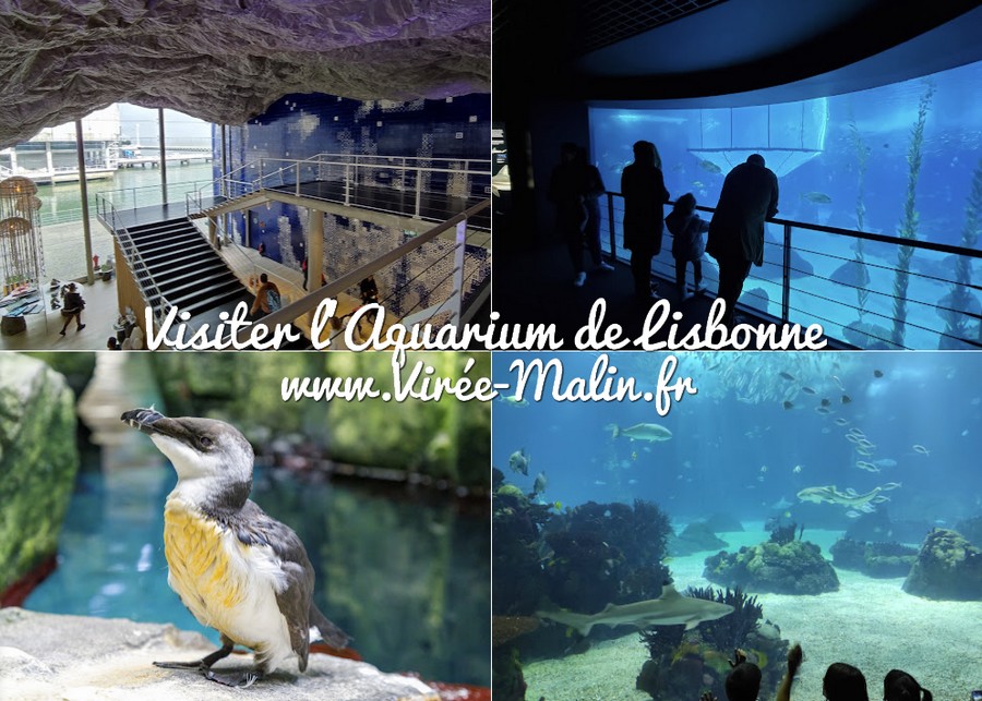 visiter-Aquarium-Lisbonne