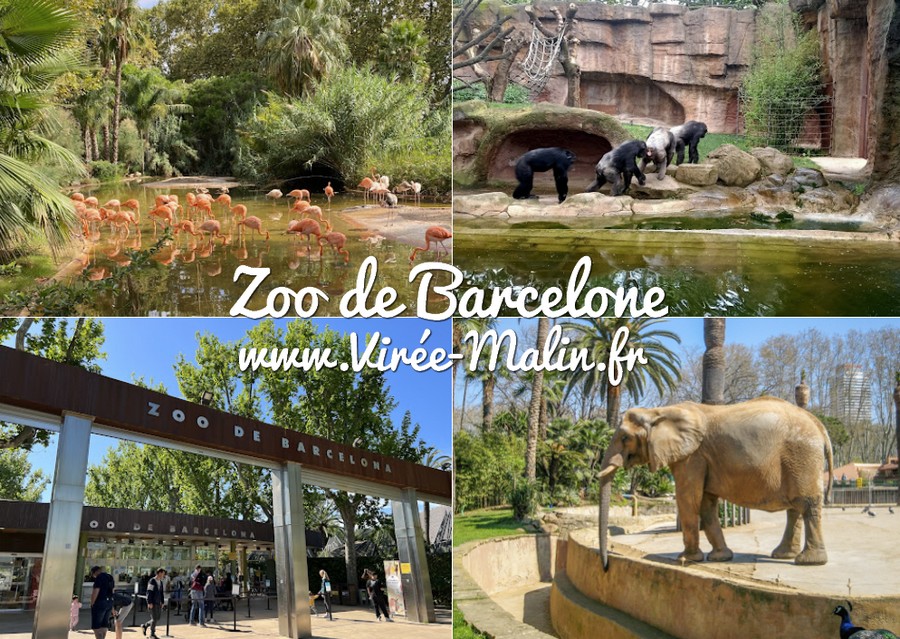 zoo-Barcelone