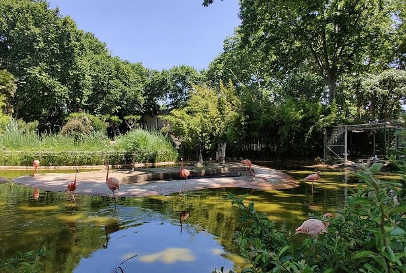 Visiter le Zoo de Barcelone