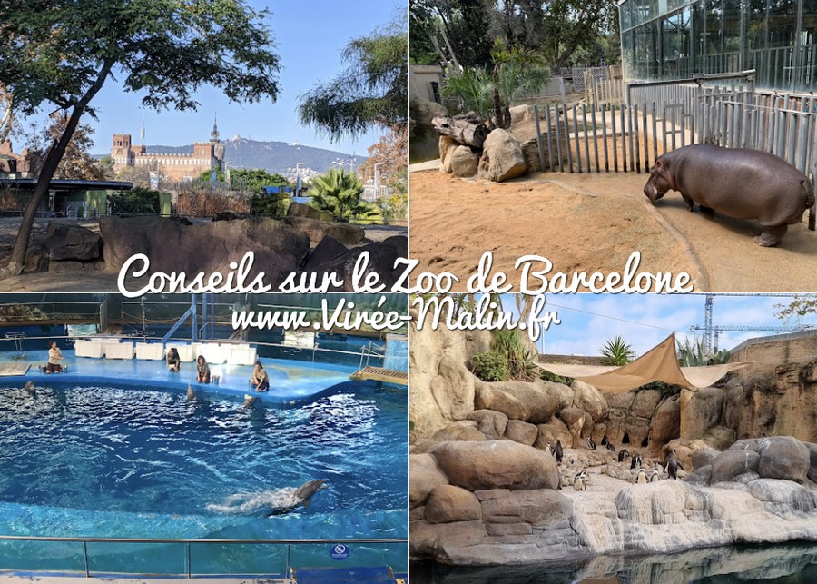 conseils-visite-Zoo-Barcelone