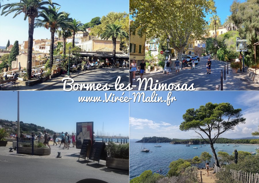 Bormes-les-Mimosas