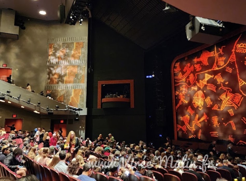 Quel-billet-Roi-Lion-Broadway-New-York-choisir