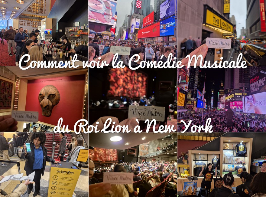 Roi-Lion-New-York-Comedie-Musicale-Broadway