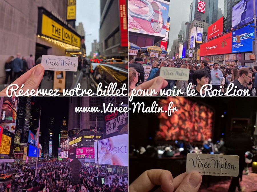 comment-voir-roi-lion-Broadway-new-york