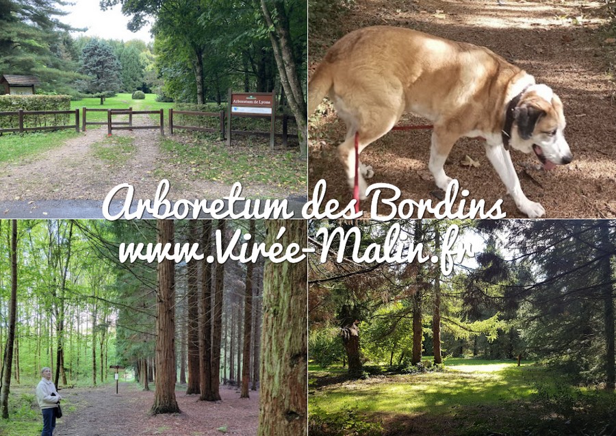 visiter-Arboretum-des-Bordins-Lyons-la-Foret