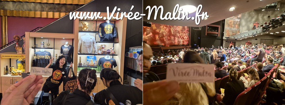 pourquoi-voir-roi-lion-nyc