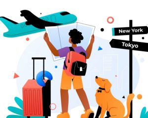 Toutes-les-destinations-Viree-Malin