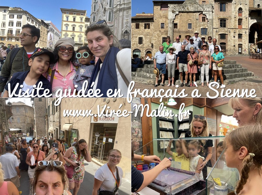 visite-guidee-en-francais-Vienne