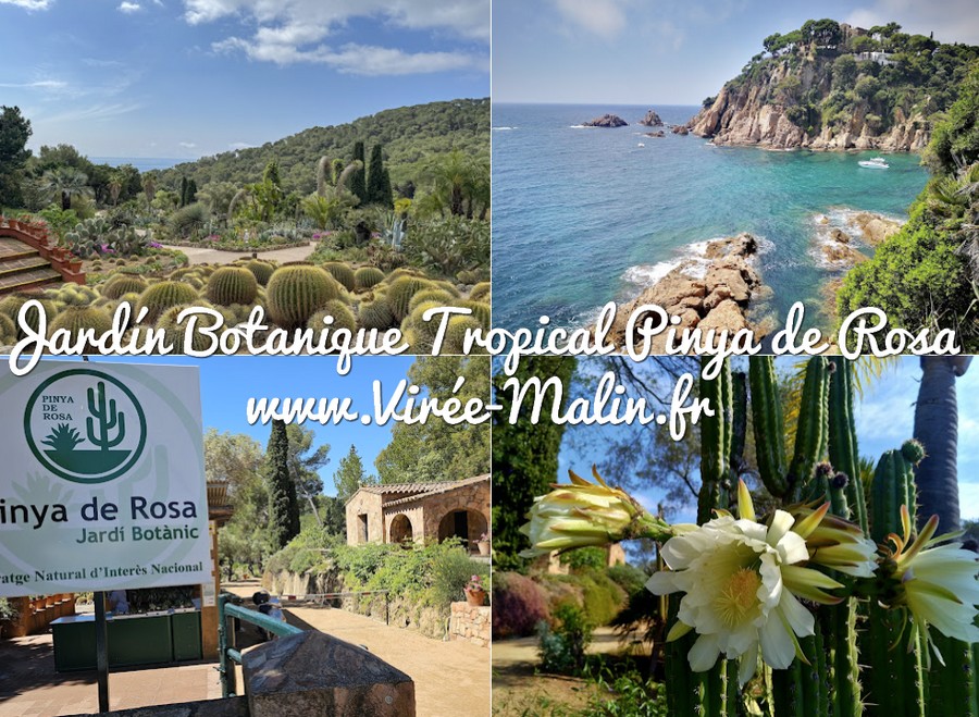 visite-Jardin-Botanique-Tropical-Pinya-de-Rosa-Blanes