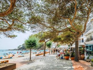 Visiter Llafranc et où dormir à Llafranc