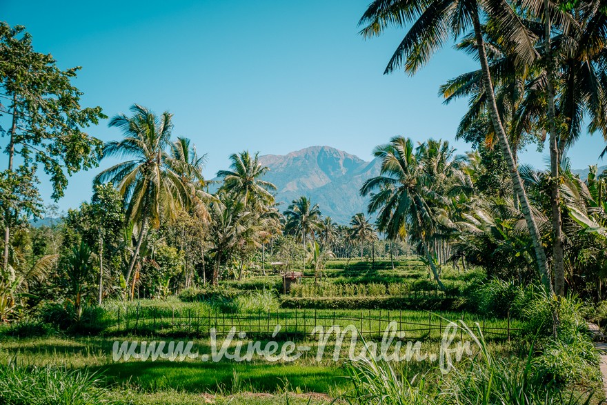 Pourquoi-visiter-Tetebatu-a-Lombok