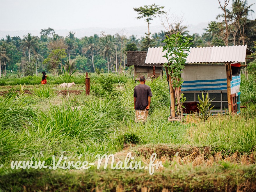 Visiter-village-TeteBatu-situe-au-pied-mont-Rinjani