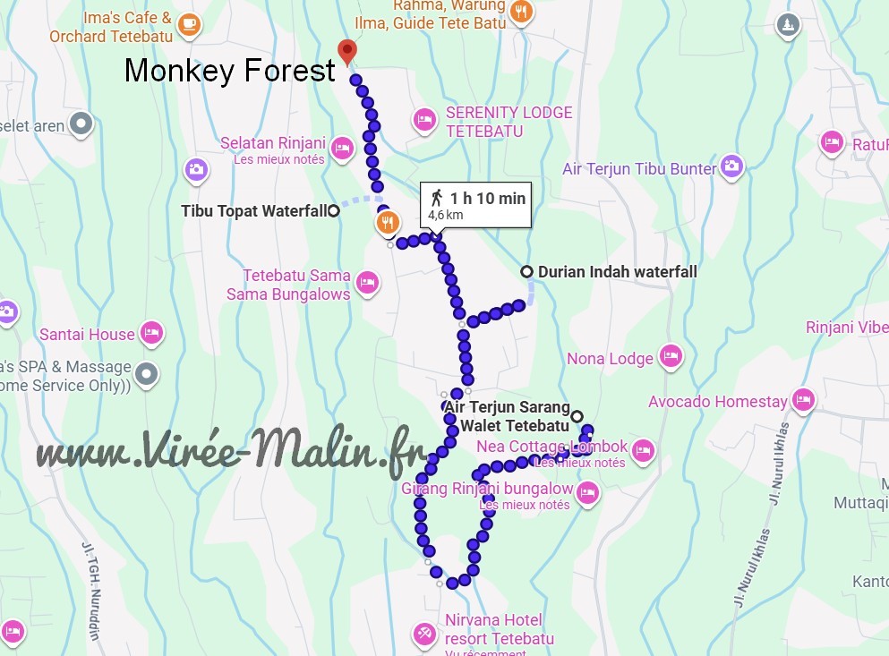 carte-Monkey-Forest-foret-singe-tetebatu