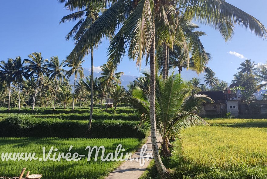 ou-loger-2-3-nuits-Tetebatu