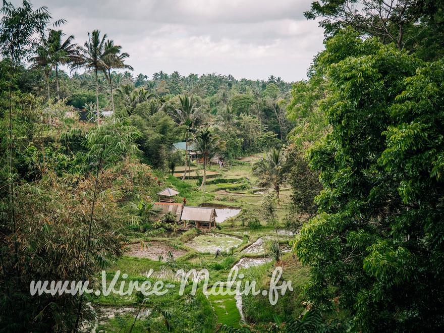 voir-rizieres-Tetebatu-Lombok