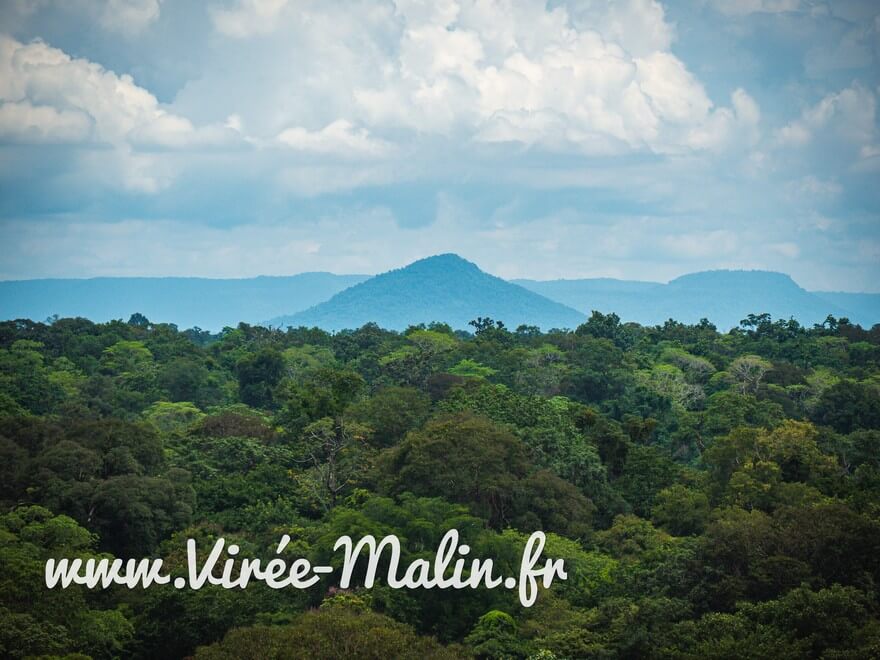 Nature-Koh-Ker-et-Preah-Vihear