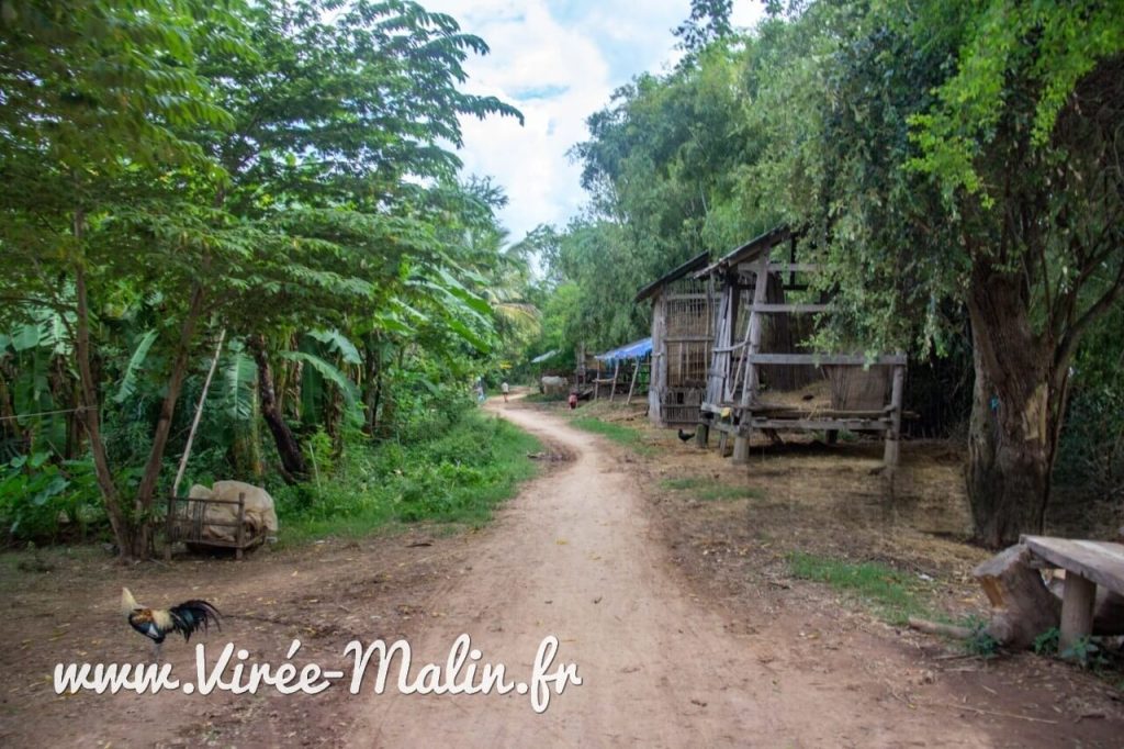 que-faire-Kratie-ile-Koh-Trong