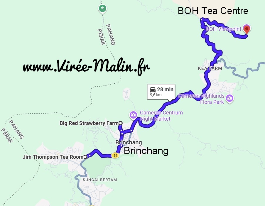 carte-fermes-fraises-Cameron-Highlands