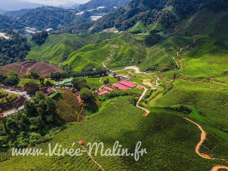 route-du-the-Cameron-Valley