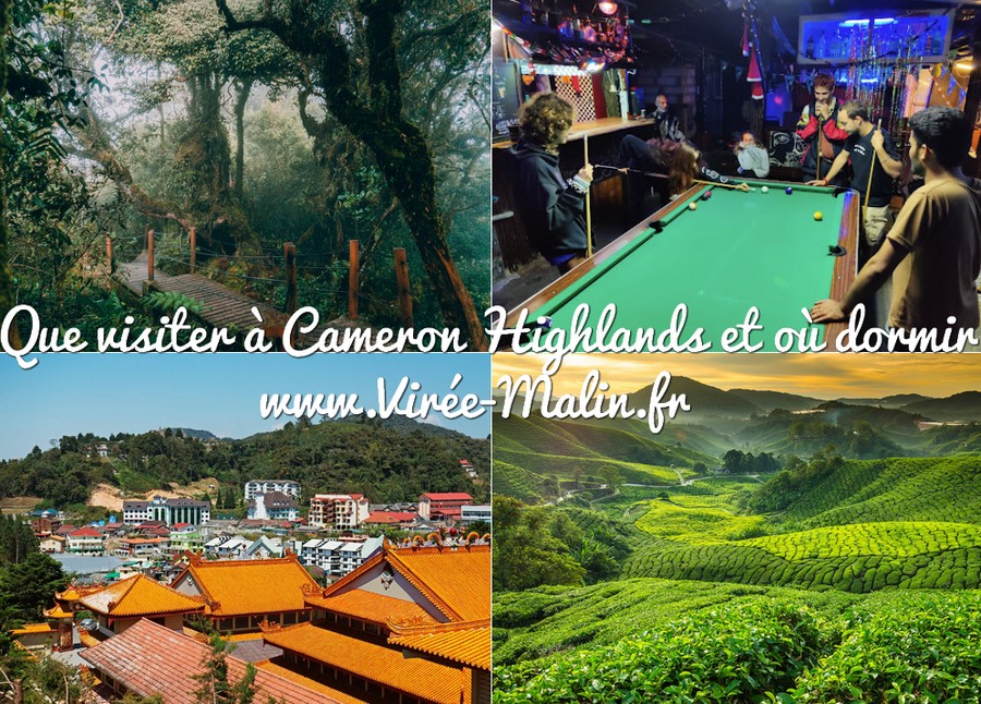 visiter-cameron-highlands-ou-dormir-cameron-highlands-