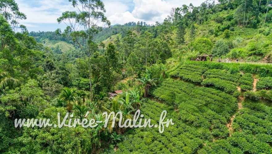 Blog-voyage-Ella-conseils