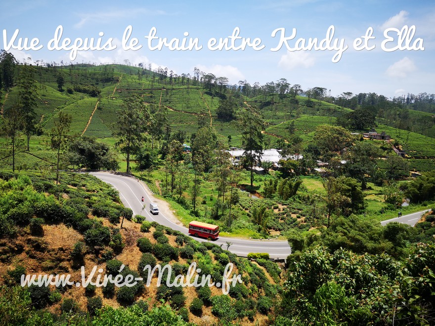Vue-train-entre-Kandy-et-Ella