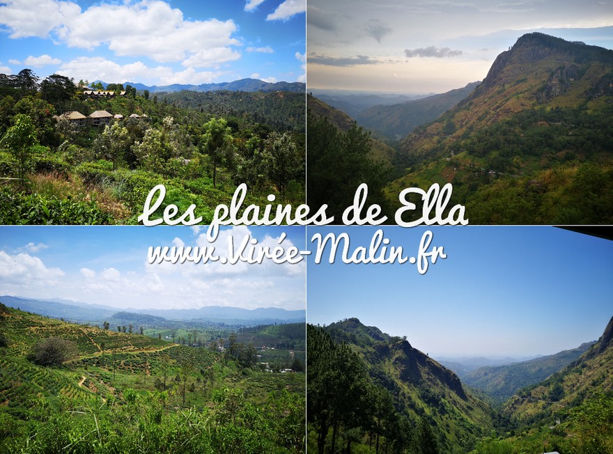 visite-plaines-Ella-au-Sri-Lanka