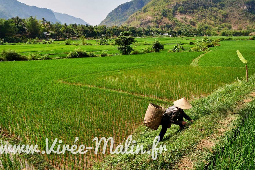 Quels-villages-visiter-Mai-Chau