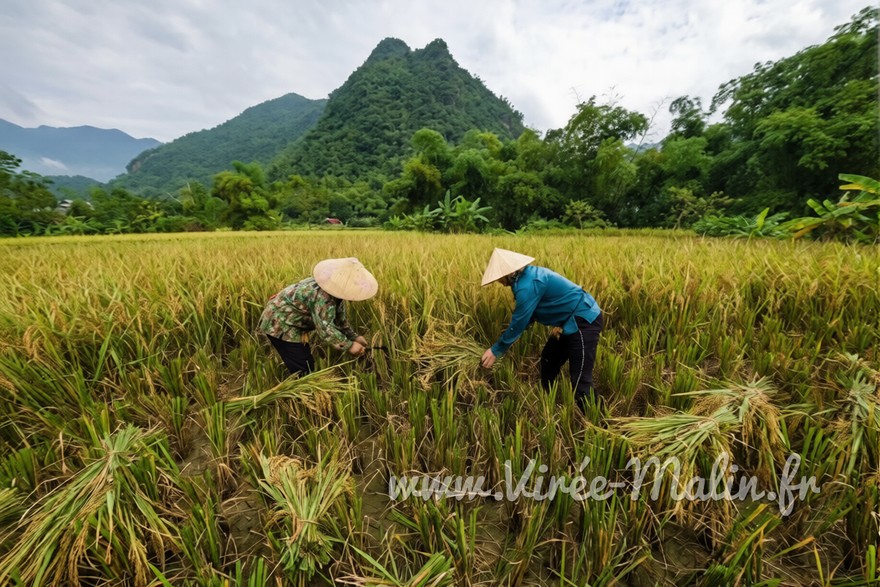 pourquoi-visiter-Mai-Chau