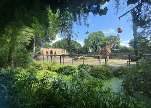 Bioparco-Rome